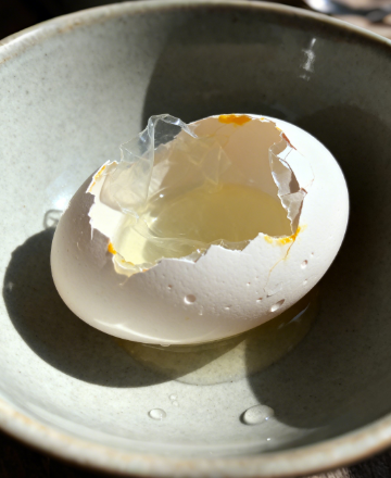 合規(guī)適配！雞蛋藥物殘留檢測儀符合國標(biāo)檢測標(biāo)準(zhǔn)