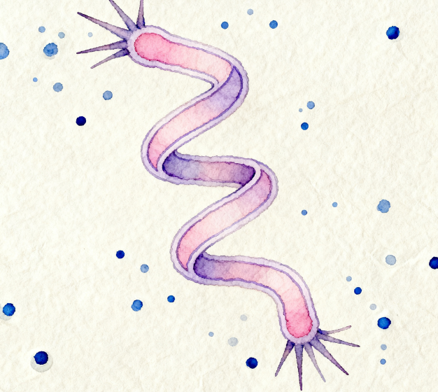 重磅發布！LD-ATP微生物細菌檢測儀升級 3.5 英寸觸摸屏，檢測效率再翻倍