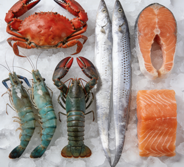 怎么確保水產品抗生素檢測結果的準確性？水產品抗生素檢測儀一鍵出結果